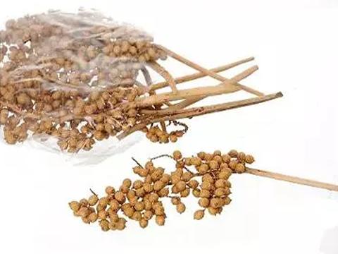 Cannella Stabilizata gr. 500 - Sconti per Fioristi e Aziende Infiorescenza
