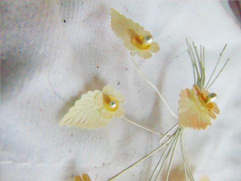 Foglia di Macrofilla Madreperla Bunch x 10 - Sconti per Fioristi e Aziende