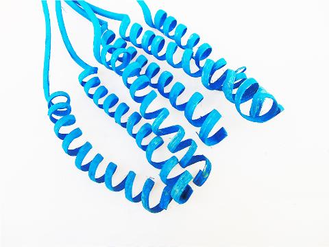 Cane Spring x 8 Naturale Colorato - Sconti per Fioristi e Aziende