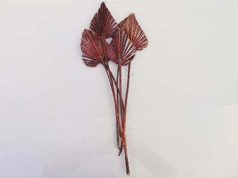 Palm Spear  Naturale Colorata - Sconti per Fioristi e Aziende