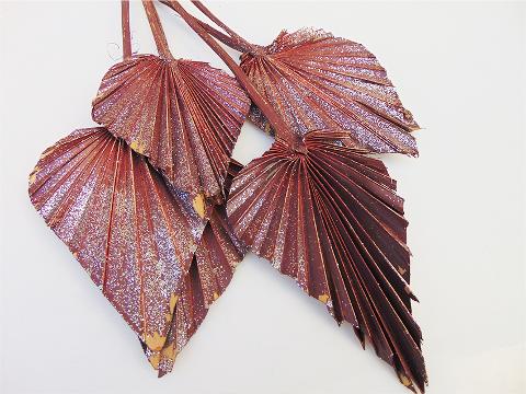 Palm Spear  Naturale Colorata - Sconti per Fioristi e Aziende