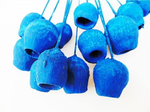 Capsule di Eucaliptus Naturale steccate e stabilizzate - Sconti per Fioristi e Aziende