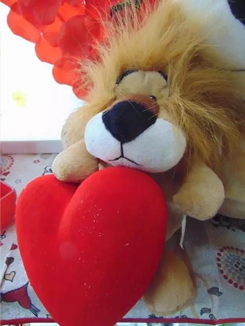 Leoncino H 20 e H 40 con cuore vellutato Articolo per S. Valentino - Sconti per Fioristi e Aziende