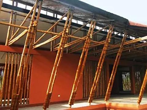 Canne di bamboo naturale  altezze e diametri diversi - Sconti per Fioristi e Aziende