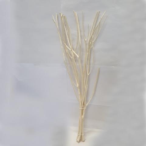 Mitzumata Sbiancata H 120 - Sconti per Fioristi e Aziende  - Mazzo Sbiancato x  3 rami