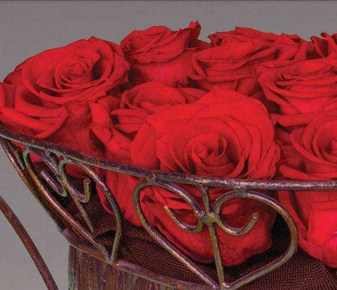Bocciolo di Rosa Preservata Premium  cm. 6,5 - Box da 6 rose - Sconti per Fioristi e Aziende e Wedding - San Michele di Ganzaria (Catania)