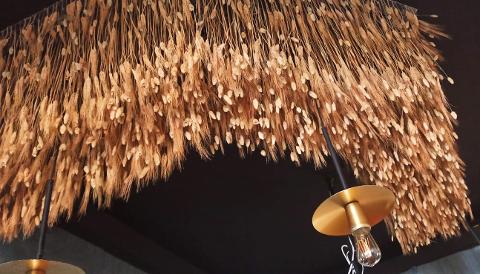 Soffitto Spighe di grano preservate a metro quadrato per Ristoranti, Hotels e Resort