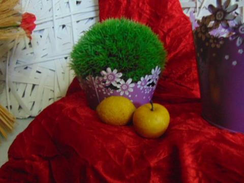 Ciotola Fiorita dm. 16 in Latta traforata Lavanda - Sconti per Fioristi e Aziende