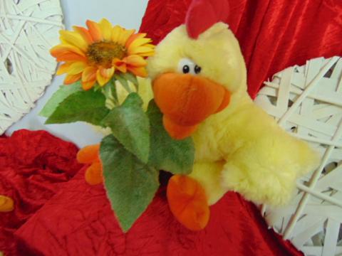 Gallo peluches H 40  con cerniera - Sconti per Fioristi e Aziende