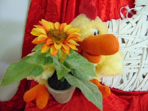 Gallo peluches H 40  con cerniera - Sconti per Fioristi e Aziende
