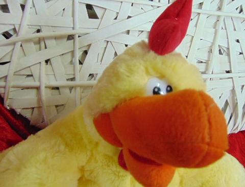 Gallo peluches H 40  con cerniera - Sconti per Fioristi e Aziende
