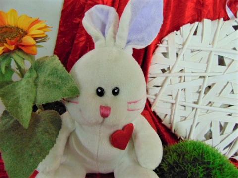 Peluche coniglio H 25  con cuore adatto per S.Valentino - Sconti per Fioristi e Aziende