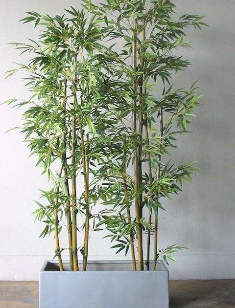 Canna di Bamboo  H 120 - Sconti per Fioristi e Aziende . - Naturale con foglie Artificiali