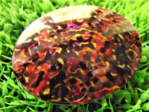 Fermaglio oval tartara madreperla 7 x 5,5 - Sconti per Fioristi e Aziende