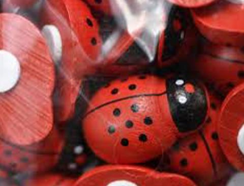 Coccinelle Rosse mm. 20 con adesivo in legno - conf. 120  pz. - Sconti per Fioristi e Aziende