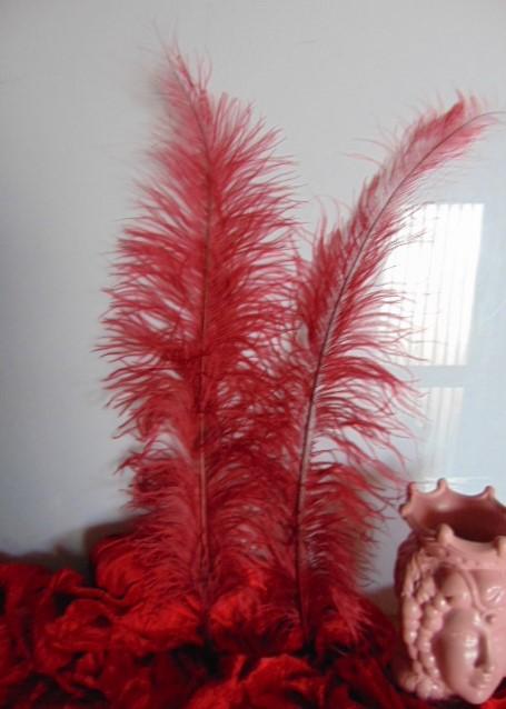 Piume di struzzo cm. 60/70  - Sconto per Fioristi e Aziende - in vari colori