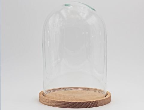 Campana in vetro H 15 dm. 10 con base in legno - Sconti per Fioristi e Aziende