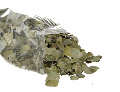 Foglie a cuore naturali stabilizzate Conf. gr.100 - Sconti per Fioristi e Aziende e Wedding