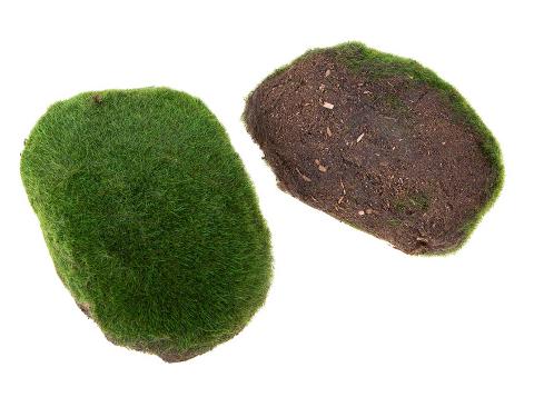 Ball Moss x 2 sintetico cm. 22X22 + CM.15/25 - Sconti per Fioristi e Aziende e Wedding