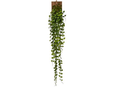 Muehlenbeckia cadente H 80 - Sconti per Fioristi e Aziende - Artificiale x 30 fili