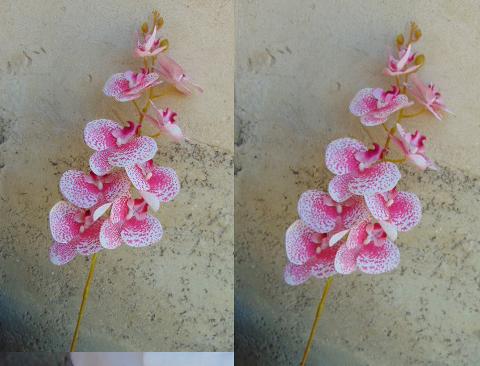 Phalenopsis x 9 in poliester - Sconti per fioristi e aziende - Real touch