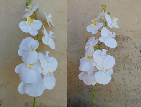 Phalenopsis x 9 in poliester - Sconti per fioristi e aziende . - Real touch