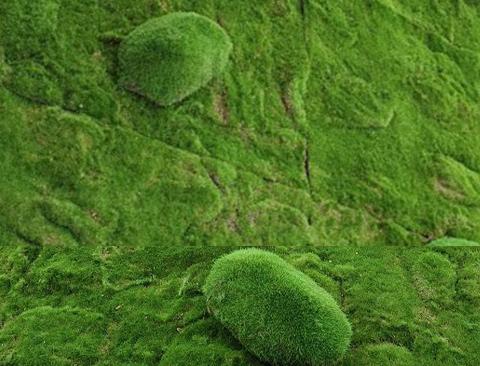 Ball Moss x 2 sintetico cm. 22X22 + CM.15/25 - Sconti per Fioristi e Aziende e Wedding