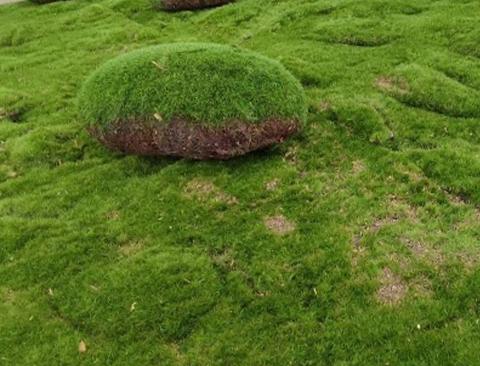 Ball Moss x 2 sintetico cm. 22X22 + CM.15/25 - Sconti per Fioristi e Aziende e Wedding