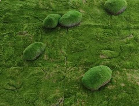 Ball Moss x 2 sintetico cm. 22X22 + CM.15/25 - Sconti per Fioristi e Aziende e Wedding