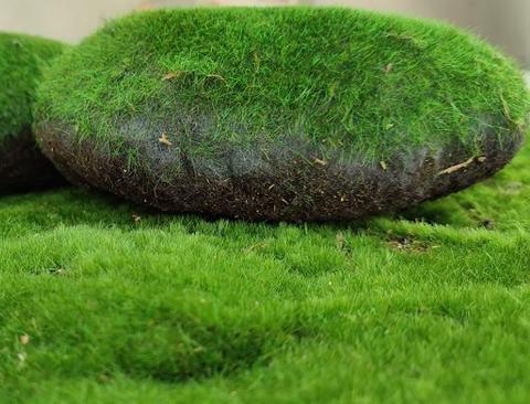 Ball Moss x 2 sintetico cm. 22X22 + CM.15/25 - Sconti per Fioristi e Aziende e Wedding