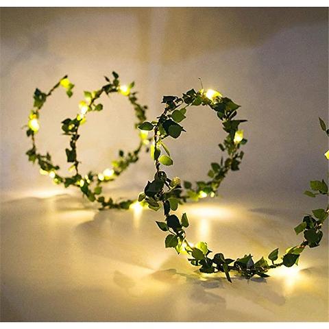 Micro Led x 20 a batteria mt. 2,5 luce calda e fredda - Sconti per Fioristi e Aziende