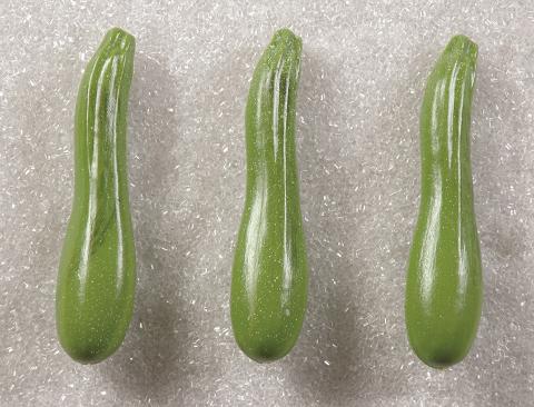 Zucchine artificiale in plastica cm.4 x 18 Sconti per Fioristio e Aziende