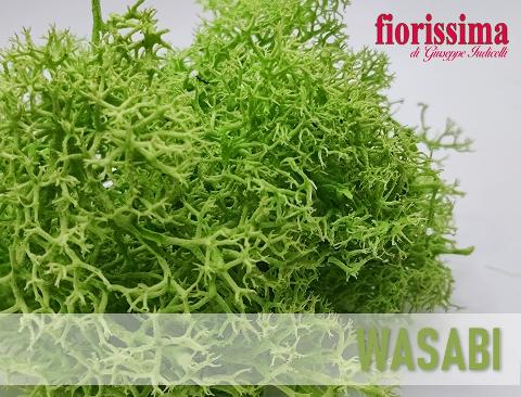 Muschio Nordico Naturale gr. 500 Finland Moss - Sconti per Fioristi e Aziende