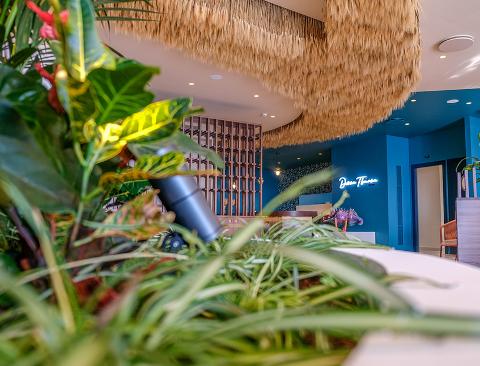 Soffitto Spighe di grano preservate a metro quadrato per Ristoranti, Hotels e Resort
