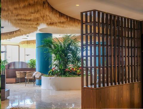 Soffitto Spighe di grano preservate a metro quadrato per Ristoranti, Hotels e Resort