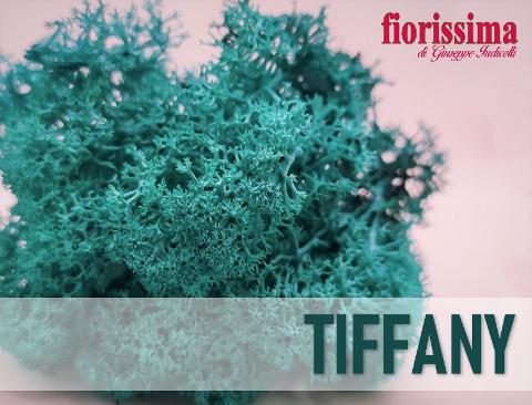 Muschio Nordico Naturale Tiffany gr. 500 Island Moss - Sconti per Fioristi e Aziende