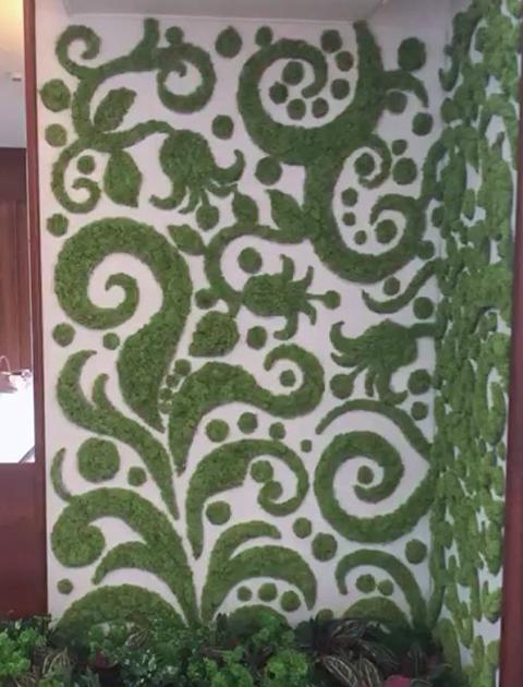 Parete Moss Stabilizzata Wall Moss  - Sconti per Fioristi e Aziende - a metro quadrato