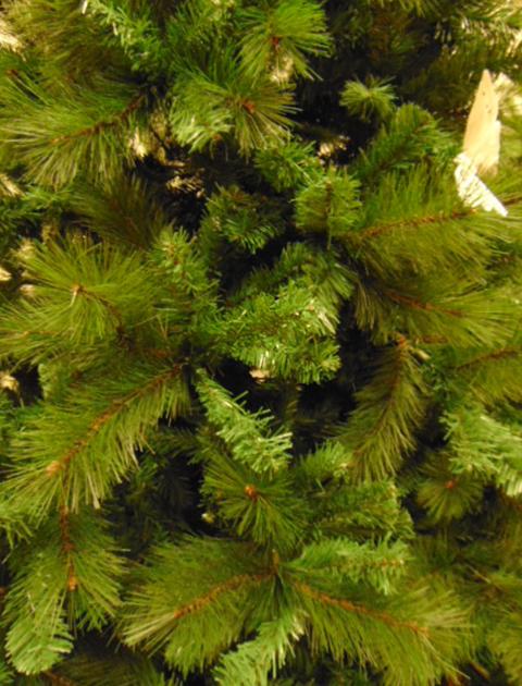 Albero di Natale Monterosa - Sconti per Fioristi e Aziende . - H 150-180 in Polistere