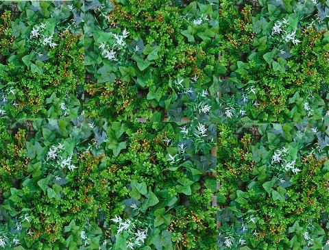 Pannello vegetato Boxwood cm. 33x33 - Sconti per Fioristi e Aziende . - in poliestere e lattice
