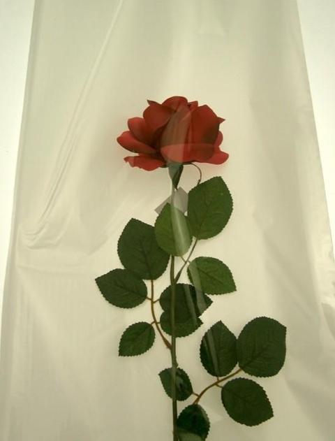 Busta per rosa H 25 x 100  - Confezione da 100 buste - Fondo Argento + Neutro