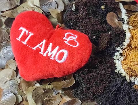 Cuscino Cuore Velluto Rosso - Sconti per Fioristi e Aziende - Adattio per San Valentino
