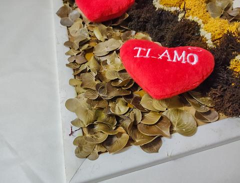 Cuscino Cuore Velluto Rosso - Sconti per Fioristi e Aziende - Adattio per San Valentino