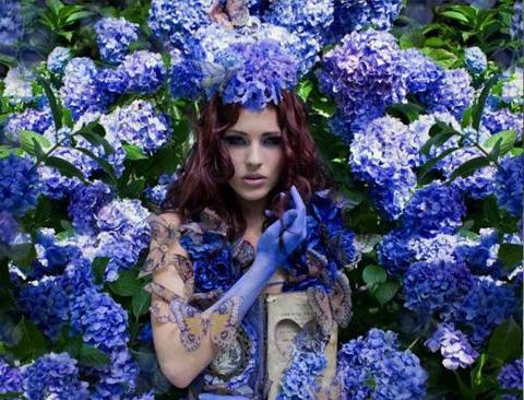 Ortensia Naturale H 40 Dry x 5 Hydrangea Macrophylla - Sconti per Fioristi e Aziende e Wedding
