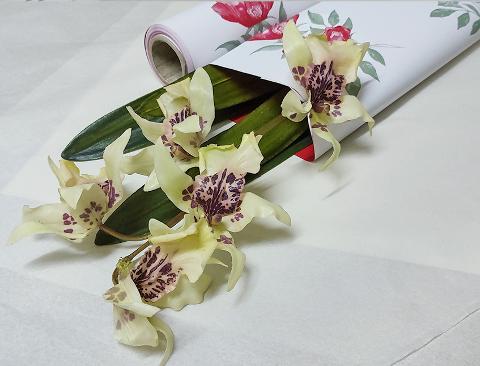 Fogli 70X70 Bicolore Annabelle Conf. 25 fogli Sconti per Fioristi, Wedding e Aziende