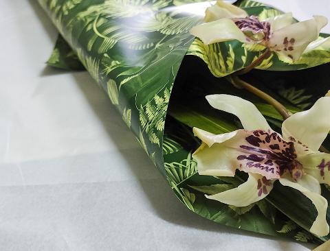 Fogli 70X70 Best Verde Sconti per Fioristi, Wedding e Aziende