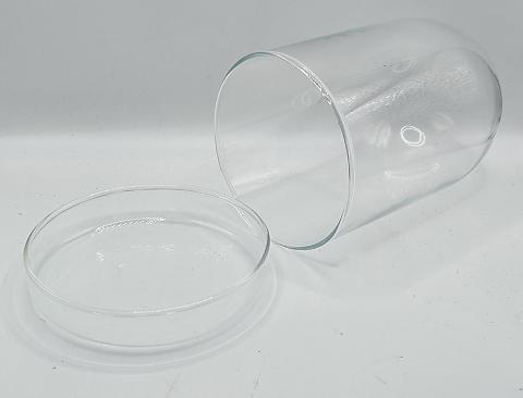 Campana in vetro con base H 12 dm 8 cm. Sconti per Fioristi, Wedding e Aziende
