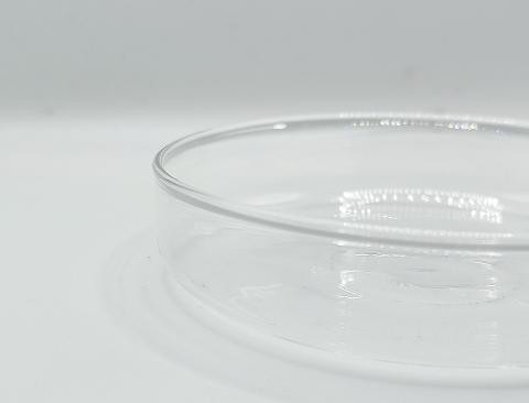 Campana Swarovsky Con Base H 9.5 dm 8.5 cm Sconti per Fioristi, Wedding e Aziende