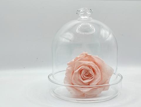 Campana Swarovsky Con Base H 9.5 dm 8.5 cm Sconti per Fioristi, Wedding e Aziende