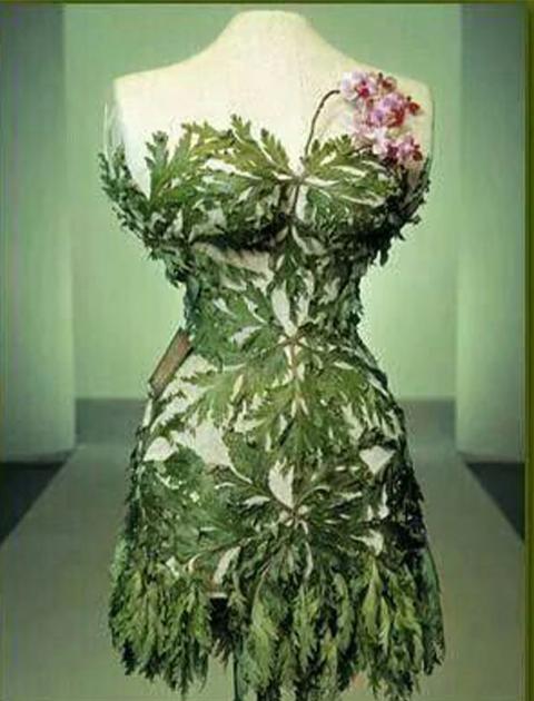 Manichino in Plastica H 58/60 Nero Mezzo Busto Uomo e Donna Sconti per Fioristi, Wedding e Aziende