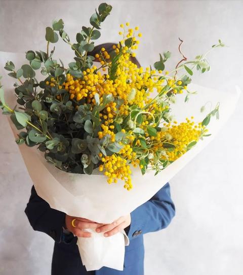 ESAURITA Mimosa Fresca box Kg. 18/25 -  Sconti per rivenditori - Acacia Dealbata - Goulois